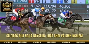 Cá Cược Đua Ngựa Bayclub: Luật Chơi Và Kinh Nghiệm