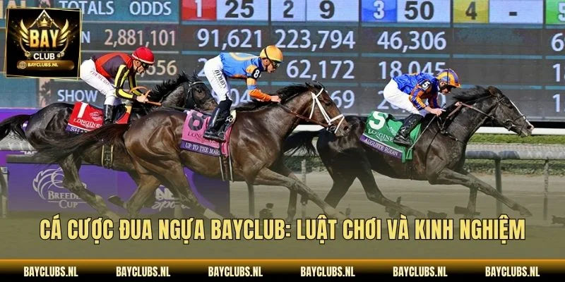Cá Cược Đua Ngựa Bayclub: Luật Chơi Và Kinh Nghiệm