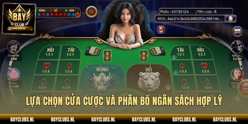 Lựa chọn cửa cược và phân bổ ngân sách hợp lý