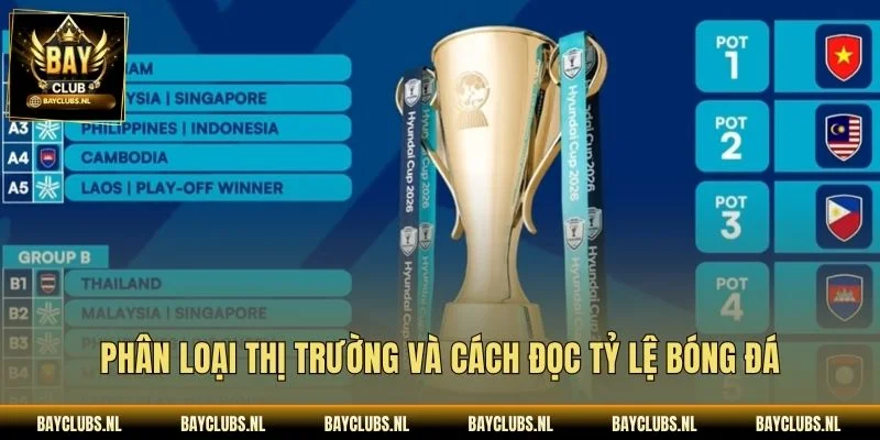 Phân loại thị trường và cách đọc tỷ lệ bóng đá
