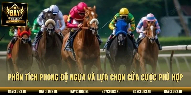 Phân tích phong độ ngựa và lựa chọn cửa cược phù hợp