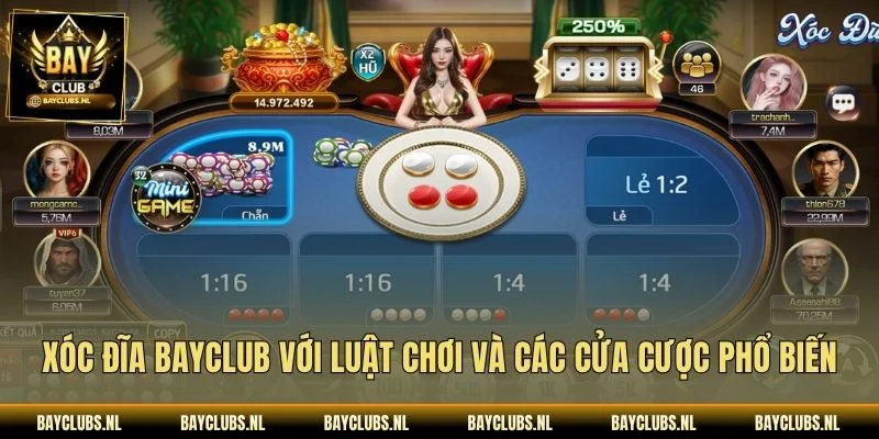 Xóc đĩa Bayclub với luật chơi và các cửa cược phổ biến